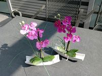 Kunstblume Orchidee klein in rosa bzw pink Baden-Württemberg - Angelbachtal Vorschau