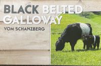 Galloway Black Belted Färsen Bayern - Waidhaus Vorschau