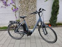 Pegasus EBike Fano E5 RH 55cm mit Brose Motor Hessen - Mühlheim am Main Vorschau