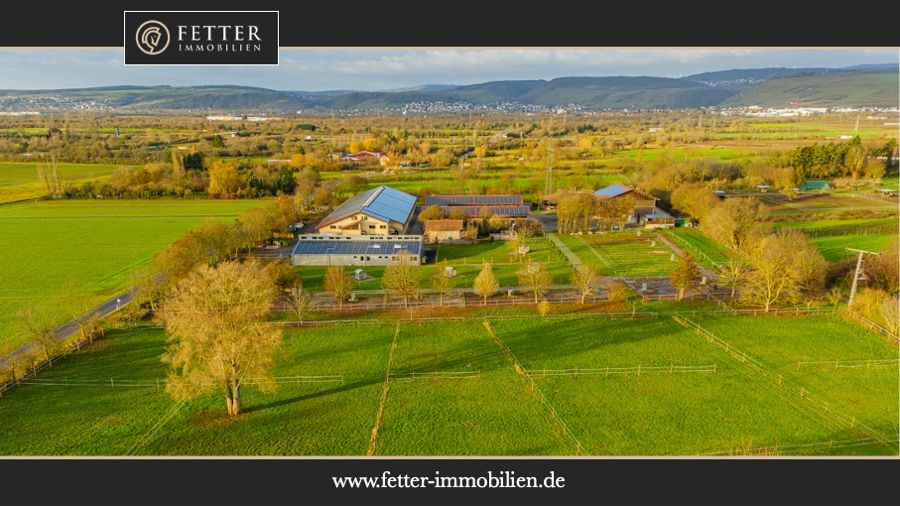 Profi-Reitanlage inklusive modernem Rehazentrum mit Pferdeschwimmbad in Bingen! in Bingen