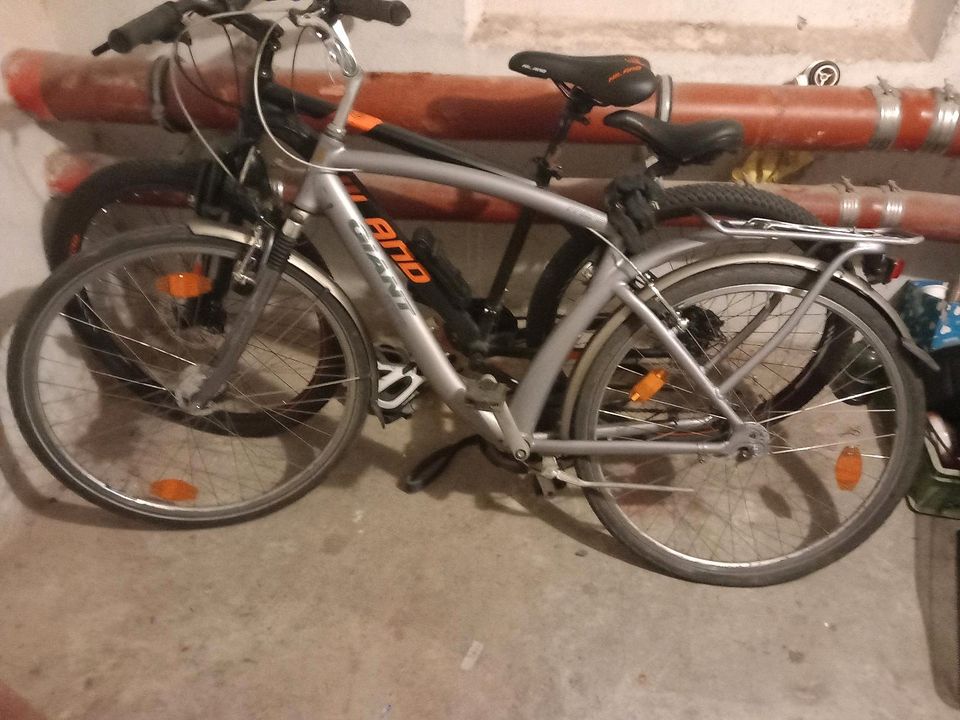 Ich biete ein Trenking bike an von Gigant in Halle