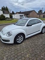 Volkswagen Beetle 1.2 TSI BMT CLUB CLUB Nordrhein-Westfalen - Alsdorf Vorschau