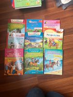 Diverse Pferde Bücher für Lesesfänger, Leserabe und Leselöwen Niedersachsen - Scheeßel Vorschau