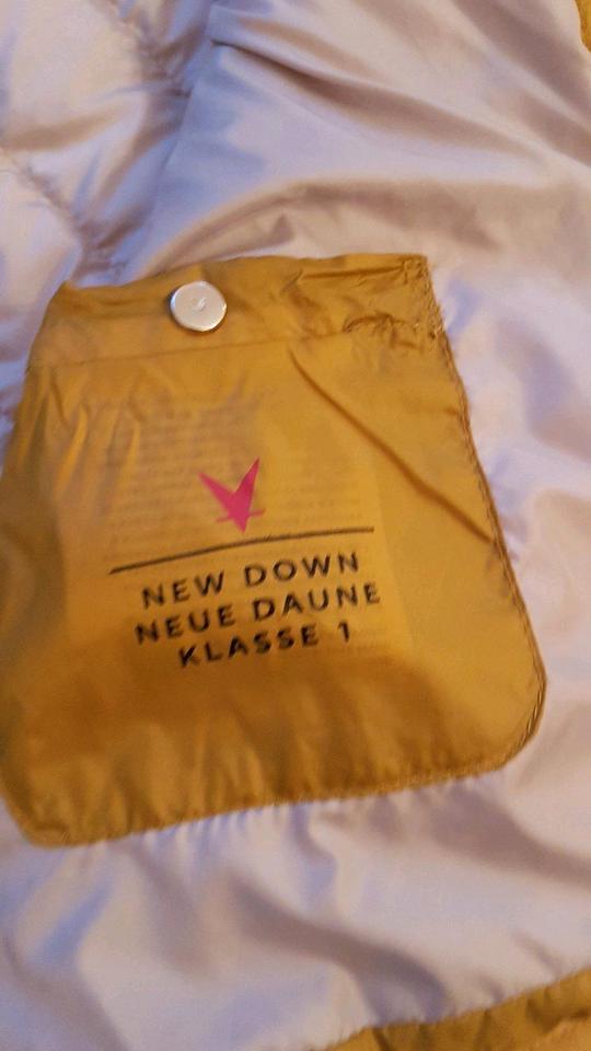 Fuchs & Schmitt maisgelbe kurze leichte Daunenjacke Gr.42 NEU in Bad Orb