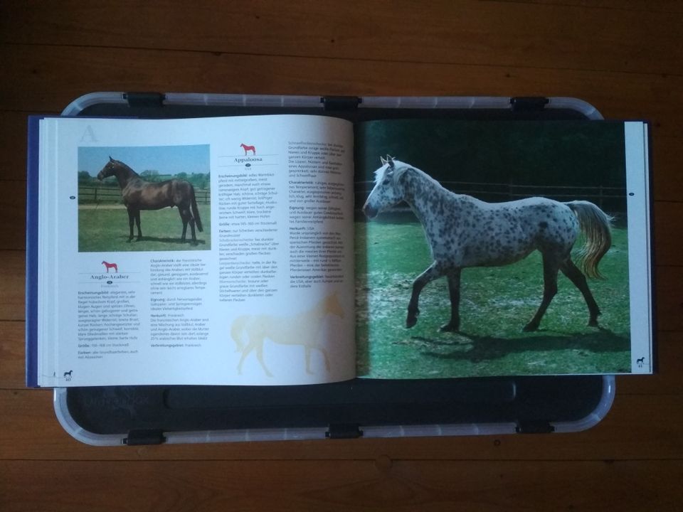 Enzyklopädie der Pferderassen in Marienberg