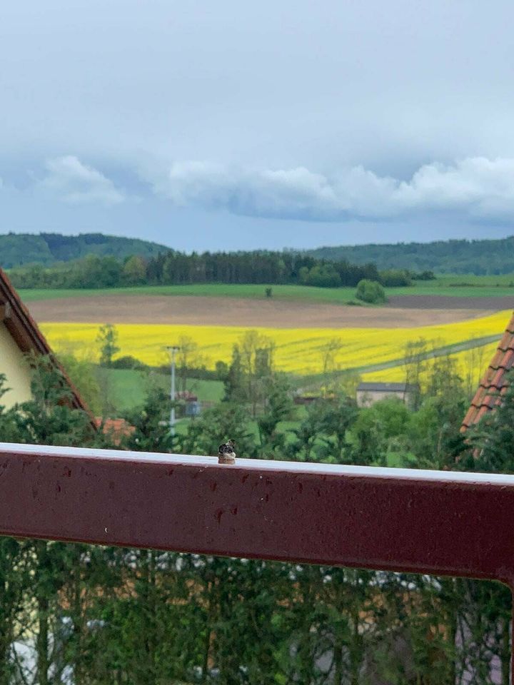 Modernes Wohnhaus für gehobene Ansprüche in Schillingsfürst