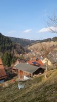 Zweifamilien mit Talblick 360qm Niedersachsen - Wildemann Vorschau