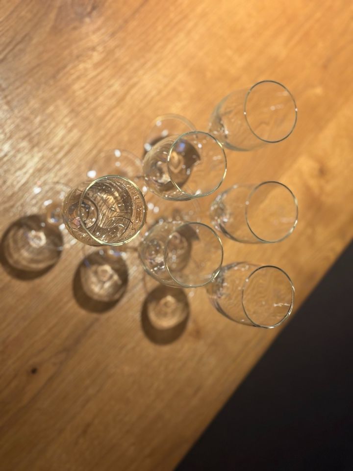 6 Vintage Champagnerflöten von Schlumber Sekt Glas Gläser 1980 in Blaichach