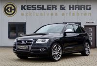 Audi SQ5 3.0 TDI quattro#B&O#KEY-GO#PANO#ACC# Baden-Württemberg - Hechingen Vorschau