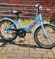 Kinderfahrrad 20 Zoll Niedersachsen - Steyerberg Vorschau