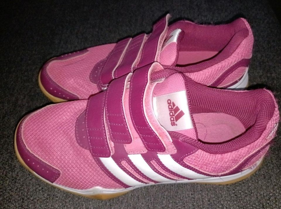 Hallen Turnschuhe Adidas 37 1/3 in Kevelaer