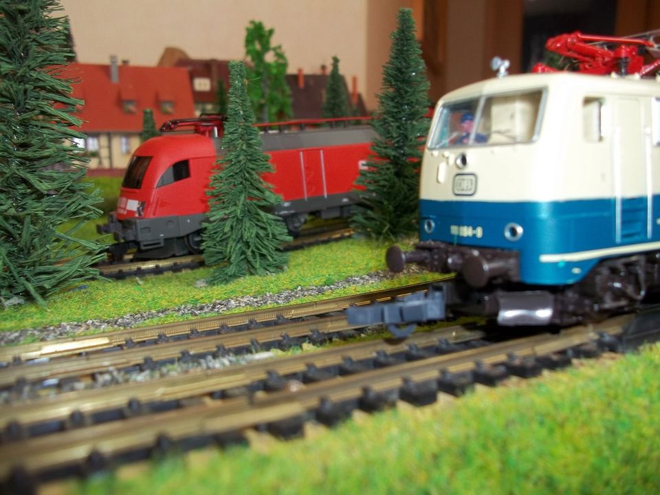 Modelleisenbahn Fertiggelände Noch H0 digital Eisenbahn z21 ROCO in Niederaula