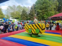 Enten Rodeo wie Bullriding für Kinder und Erwachsene zu vermieten Sachsen-Anhalt - Naumburg (Saale) Vorschau