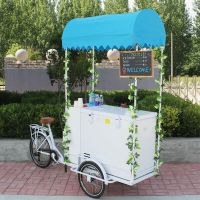 Ice Bike, Verkaufsrad, food bike, Lastenrad, Elektro, Eisrad Ice Nordrhein-Westfalen - Emmerich am Rhein Vorschau