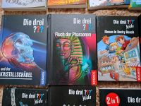 Die drei ??? Bücher Mecklenburg-Vorpommern - Greifswald Vorschau