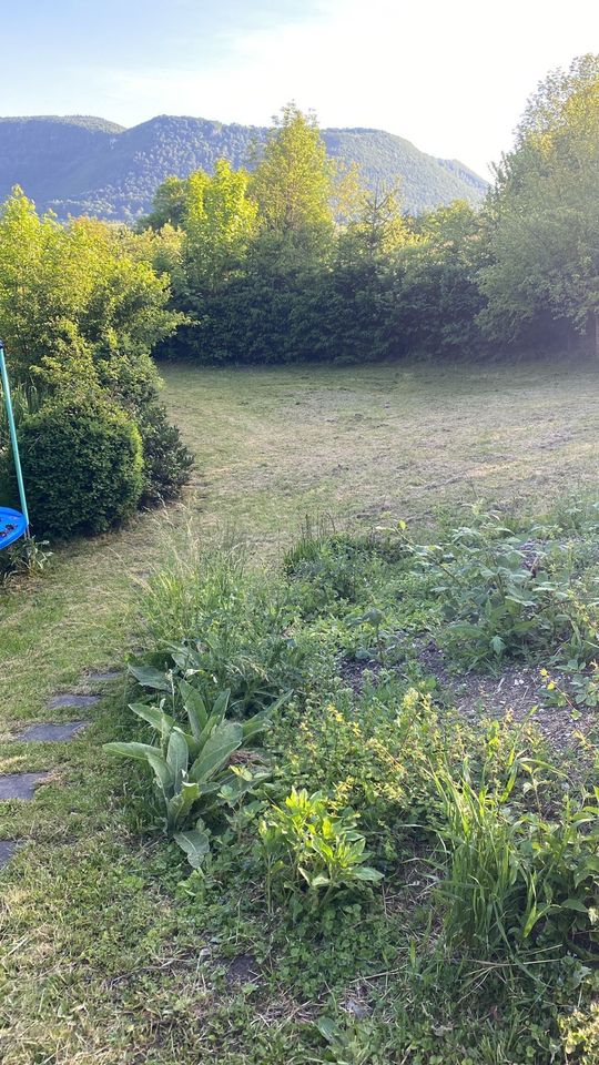 Schrebergarten am Goldberg in ruhiger Lage Dettingen in Baden
