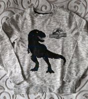 Sweatshirt Gr. 134/140 Bergedorf - Hamburg Lohbrügge Vorschau