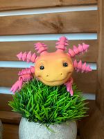 Bewegliches Axolotl aus dem 3D-Drucker | Geschenk | Geburtstag Bremen - Schwachhausen Vorschau