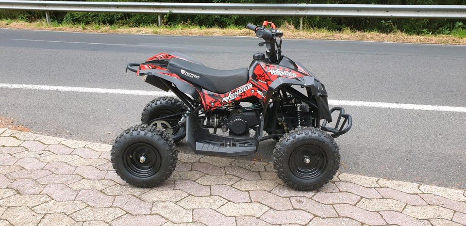 pocketquad  49cc mini Kinder Quad Avenger Sport 6" in Bad Breisig 