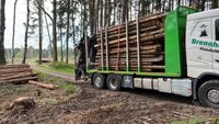 20 RM Brennholz Stammholz Buche / Esche 3m oder 4 m lang Thüringen - Stadtroda Vorschau