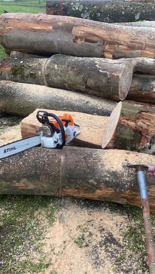 Brennholz Buche Ofenfertiges Kaminholz in Top Qualität Anmachholz in Rödermark