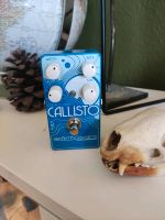 Catalinbread Callisto MKI Münster (Westfalen) - Mauritz Vorschau