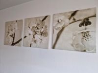 Ikea PJÄTTERYD 3 Bilder Kirschblüten/Blumen Bayern - Zusamaltheim Vorschau