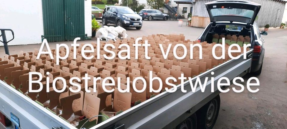 Apfelsaft Bioland Steuobstwiesen 3ltr 5ltr Bigbag in Hosten