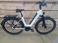 Kalkhoff Image 5.B Move+ Wave ** Rücktrittbremse ** 75Nm / 625Wh ** Modell 2023 **E-Bike ** Schleswig-Holstein - Grauel Vorschau