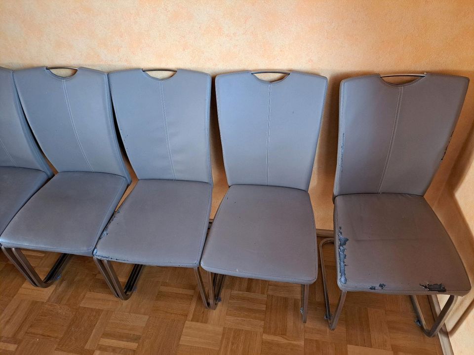 Esszimmerstühle / Schwingstühle in Gründau