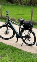 E Bike RALEIGH "Kent 10 XXL granitgrey matt Nordrhein-Westfalen - Rheine Vorschau