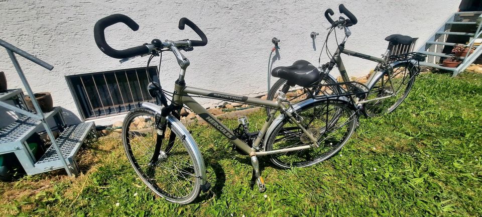 Trekking Fahrrad Hercules in Tamm