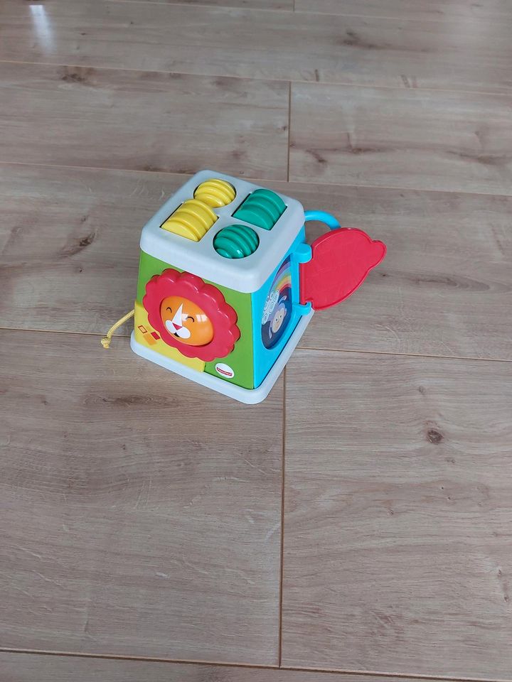 Fisher Price Safari Würfel in Weitefeld