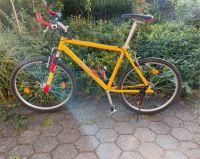 Mountainbike in gelb - Rahmengrösse 51cm = 20“ bis 21 Hessen - Weilmünster Vorschau