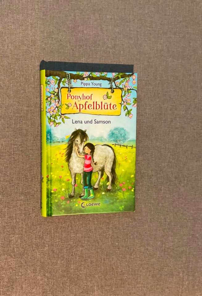 Ponyhof Apfelblüte Buch Band 1 Lena und Samson - Antolin in Bad Vilbel