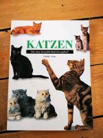 Katzen das neue kompakte Bestimmungsbuch Rheinland-Pfalz - Trier Vorschau