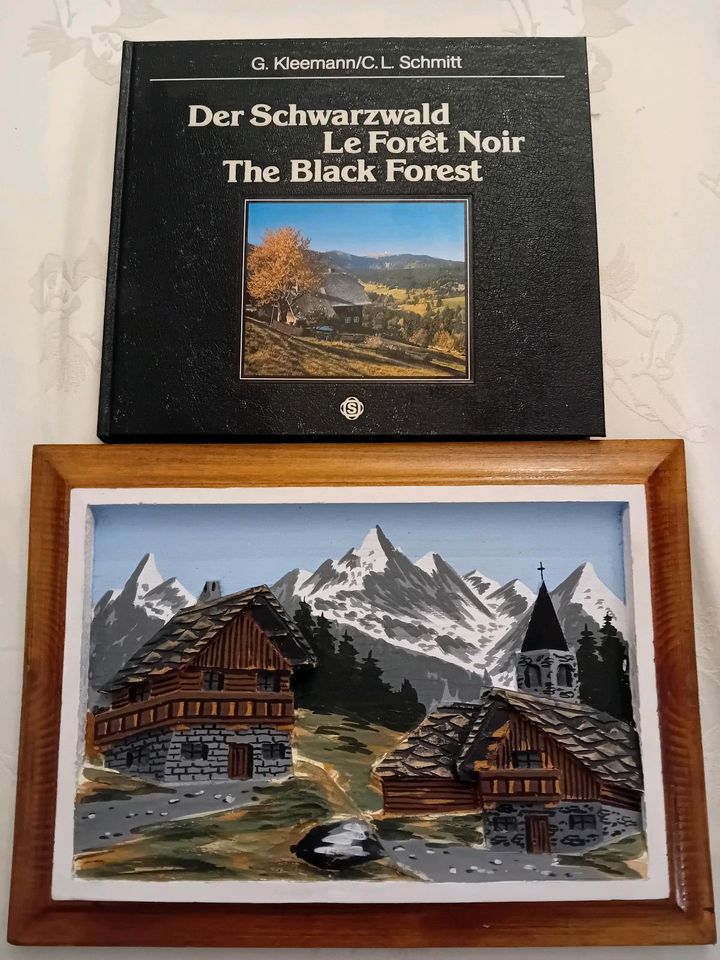 Schwarzwald-Buch1986 in Farbe und Schnitzbild Alpen 40x30 cm 3D in Forchheim