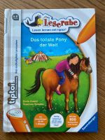 tiptoi Bücher Das tollste Pony der Welt Kinderbuch Hessen - Mühltal  Vorschau