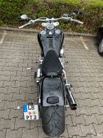 Top Custom Bike Zodiak Unikat Baden-Württemberg - Steinheim an der Murr Vorschau