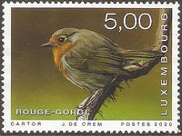 Luxemburg 2226° Natur Fauna - Tiere - Vögel - Rotkehlchen - Robin Nordrhein-Westfalen - Kamen Vorschau