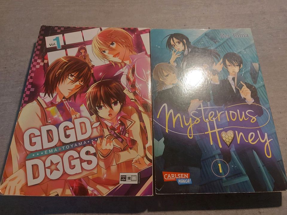 Mangas: Mysterious Honey + GDGD-Dogs in Lehrte