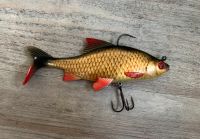 Fox Rage Replican Roach 18cm Niedersachsen - Wunstorf Vorschau