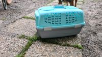 transportbox Katzen Hunde Essen - Essen-Kray Vorschau