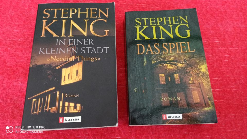 Bücher Kiste, Thriller insgesamt 17 Bücher zusammen in Karlsruhe