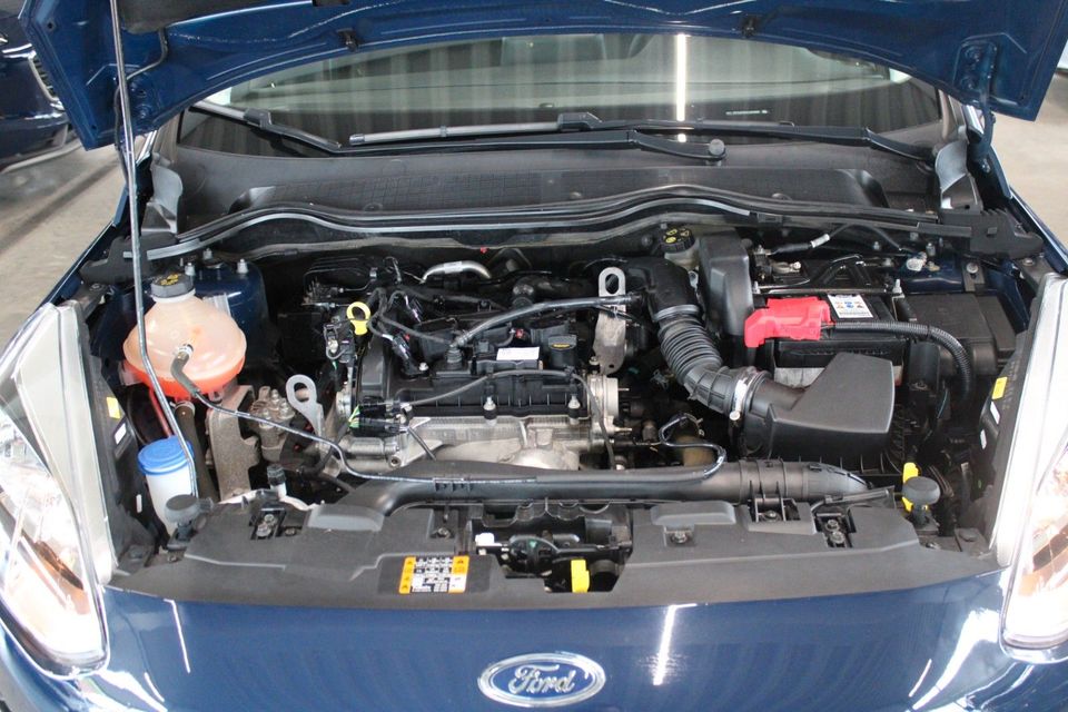 Ford Fiesta Trend 5-trg KLIMA WInterPaket PDC CAM in Flensburg