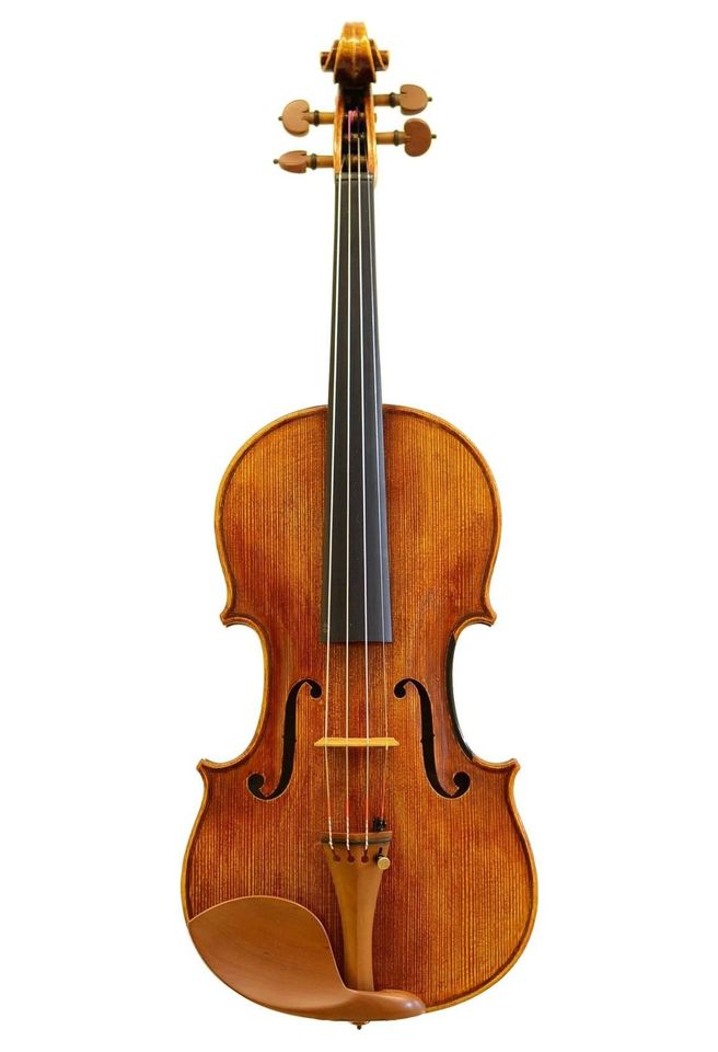 Geige Violine Cello Bratsche Viola Kontrabass Contrabass in Pinneberg