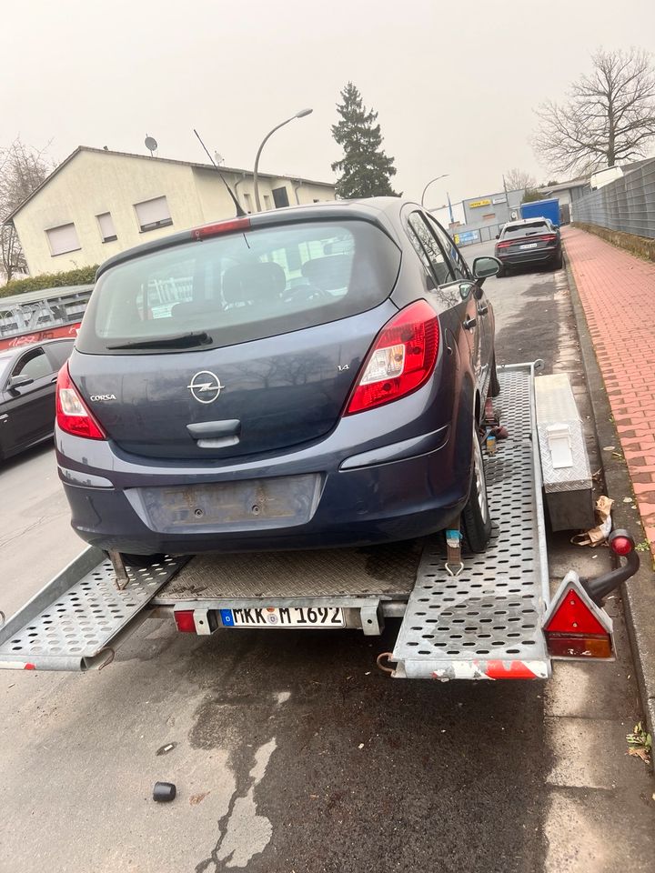 Anhänger Transporte zu vermieten 4,25L 2,10B in Hanau