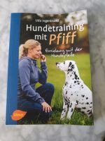 Hundetraining mit Pfiff Bayern - Gilching Vorschau