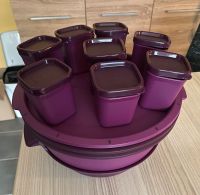 Tupperware Dampfgarer wie neu Brandenburg - Guben Vorschau