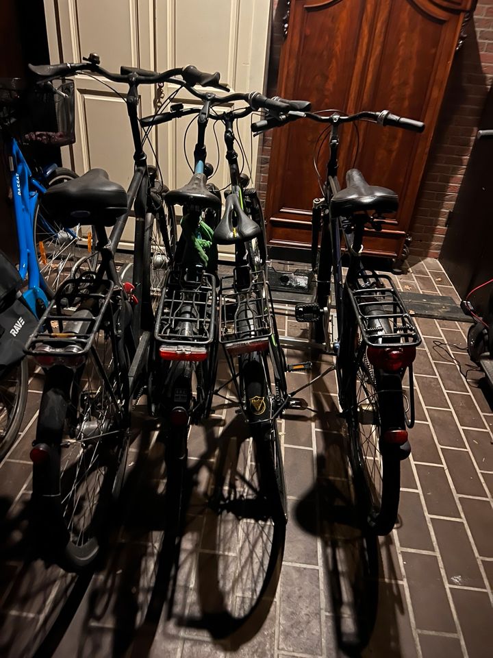 Fahrräder 4 Stück in Neumünster